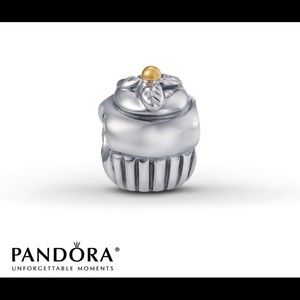 Cupcake pandora charm!